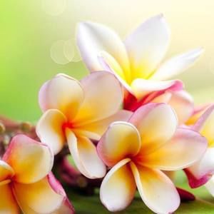 Meet your Posher, Leonor